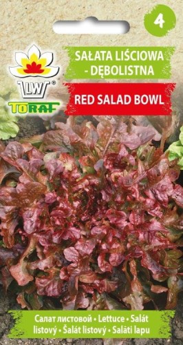 Sałata liściowa Red Salad Bowl czerwona 1g  / T /