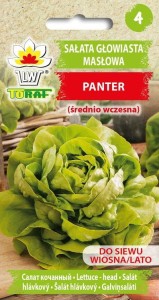 Sałata masłowa Panter 1g  / T /