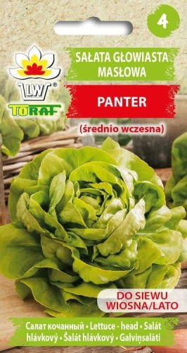 Sałata masłowa Panter 1g  / T /
