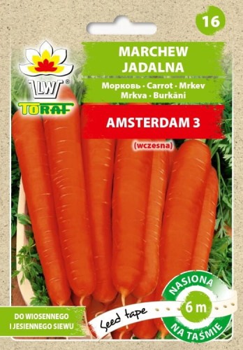 Marchew Amsterdam 3 taśma 6m  / T /