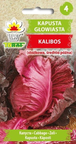 Kapusta czerwona stożkowa Kalibos 1g  / T /