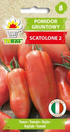 Pomidor gruntowy Scatolone 2   0,5g  / T /