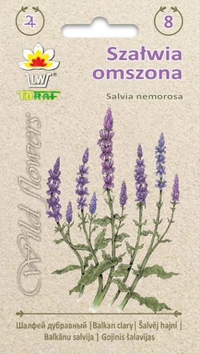 58960_54228