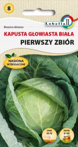 Kapusta biała Pierwszy Zbiór 2g  / L /