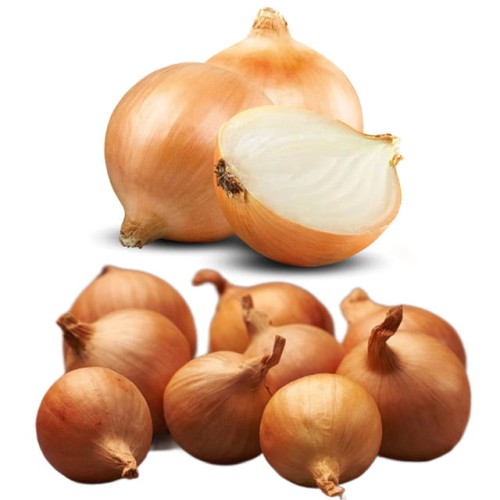 Cebula dymka Szalotka Golden Gourmet  0,5 kg