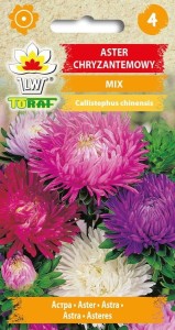 Aster chryzantemowy mix 1g  / T /