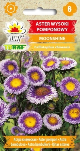 Aster pomponowy Moonshine 0,5g  / T /