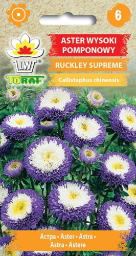 Aster pomponowy Ruckley Supreme 0,5g  / T /