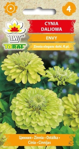 Cynia daliowa Envy 1g  / T /