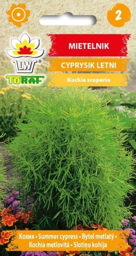 Mietelnik 1g  / T /