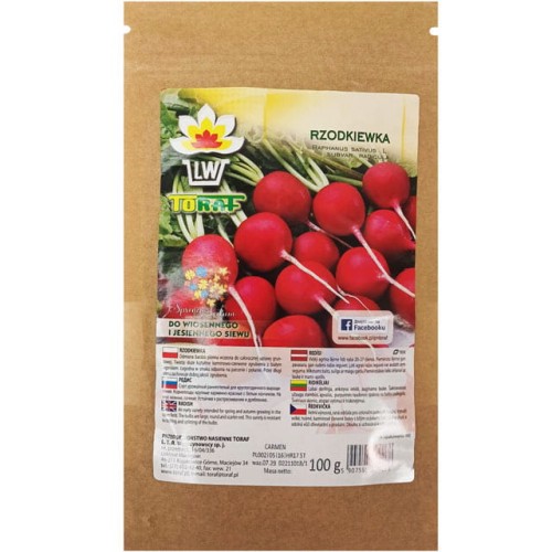 Rzodkiewka Carmen 100g  / T /