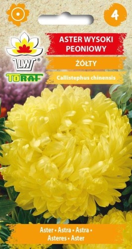 Aster peoniowy żółty 1g  / T /