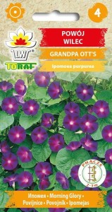 Powój wilec Grandpa Ott's 1g  / T /