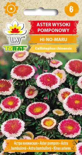 Aster pomponowy Hi-No-Maru 0,5g  / T /