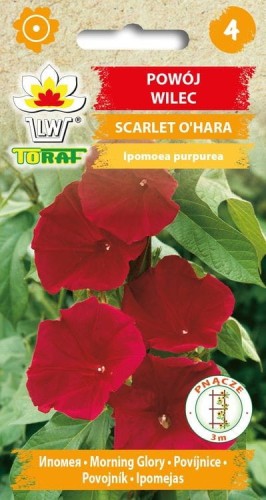 Powój wilec Scarlet O ' Hara 2g  / T /