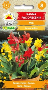 Kanna, Paciorecznik mix 1 g  / T /