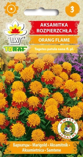 Aksamitka Orange Flame 1g  / T /