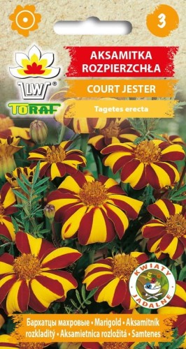 Aksamitka Court Jester 0,5g  / T /