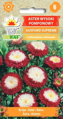 Aster wysoki pomponowy Gusford Supreme 0,5g  / T /