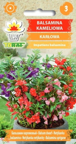 Balsamina kameliowa karłowa 0,5g  / T /