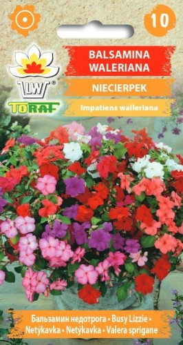 Balsamina Waleriana (Niecierpek) 0,1g  / T /