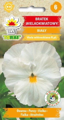 Bratek wielkokwiatowy biały 0,2g  / T /