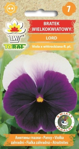 Bratek wielkokwiatowy Lord 0,2g  / T /