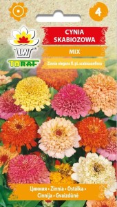 Cynia skabiozowa mix 1g  / T /