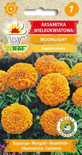 Aksamitka Moonlight pomarańczowa 0,3 g  / T /