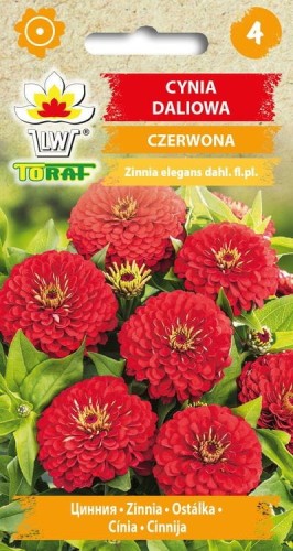 Cynia daliowa czerwona 1g  / T /