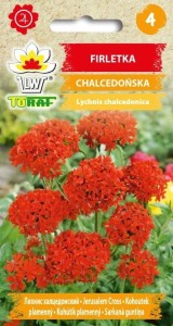 Firletka chalcedońska 0,5g  / T /