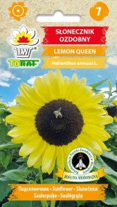 Słonecznik ozdobny Lemon Queen 2g  / T /