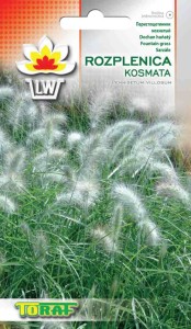 Trawa Rozplenica Kosmata 12 szt.  / T /