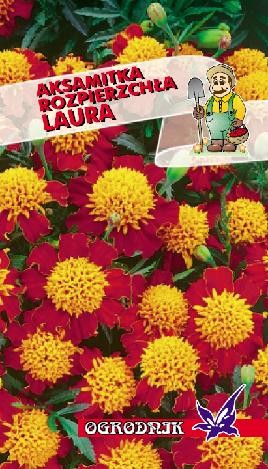 Aksamitka rozpierzchła Laura 1g  / O /