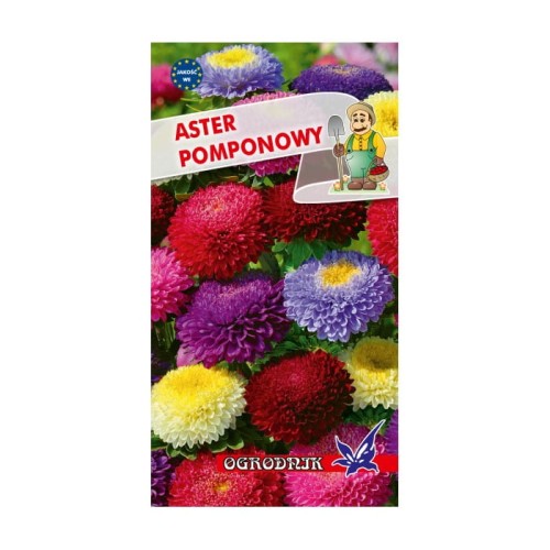 Aster pomponowy mix 1g  / O /