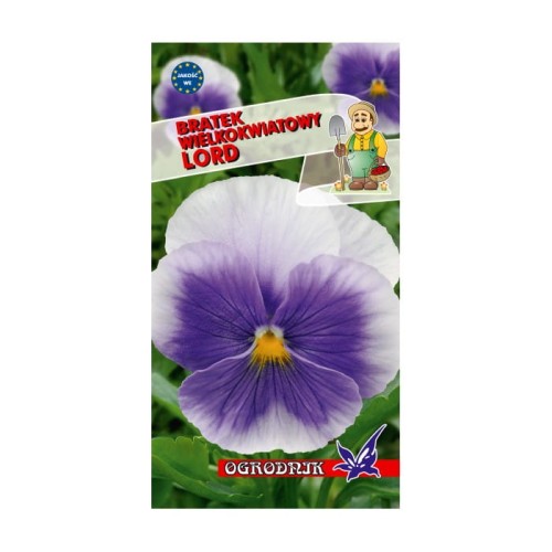 Bratek wielkokwiatowy Lord Beaconsfield 0,3g / O /