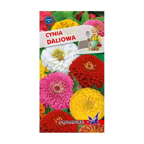 Cynia daliowa mieszanka 1g  / O /