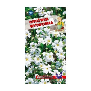 Gipsówka wytworna biała 1g  / O /