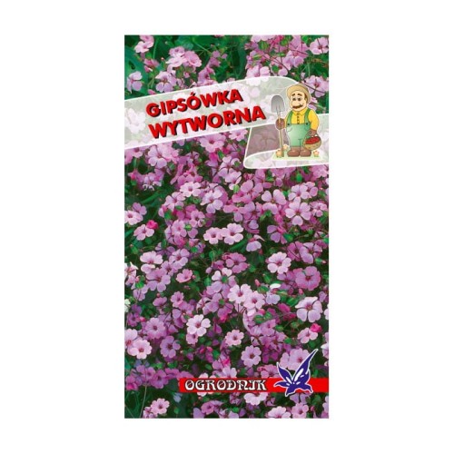 Gipsówka wytworna różowa 1g  / O /