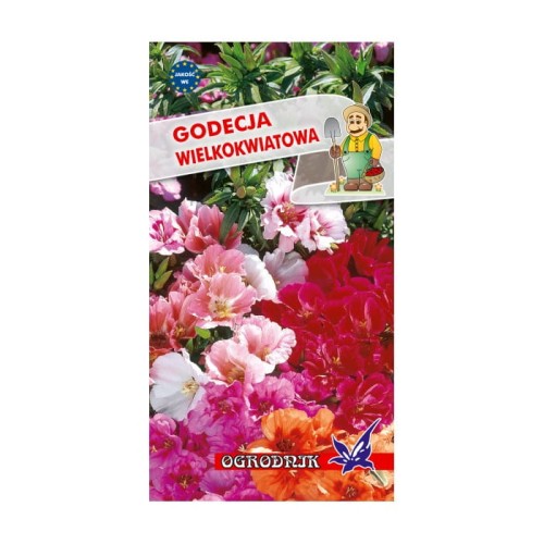 Godecja wielkokwiatowa mix  1g / O /