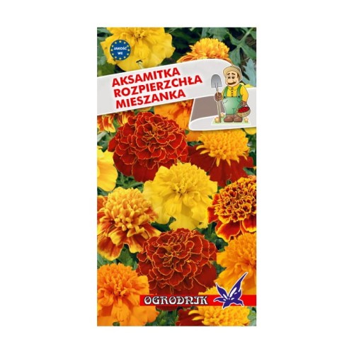 Aksamitka rozpierzchła mieszanka 1g  / O /