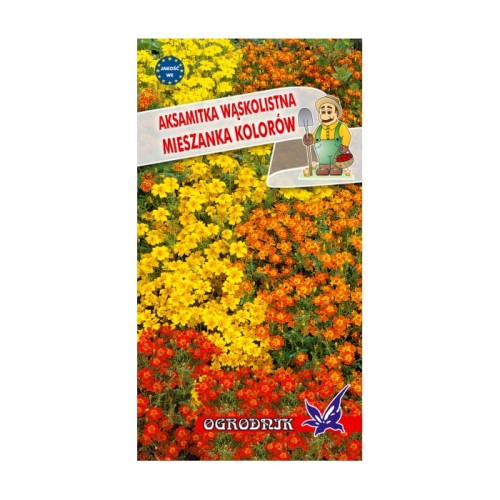 Aksamitka wąskolistna mieszanka 0,5g  / O /