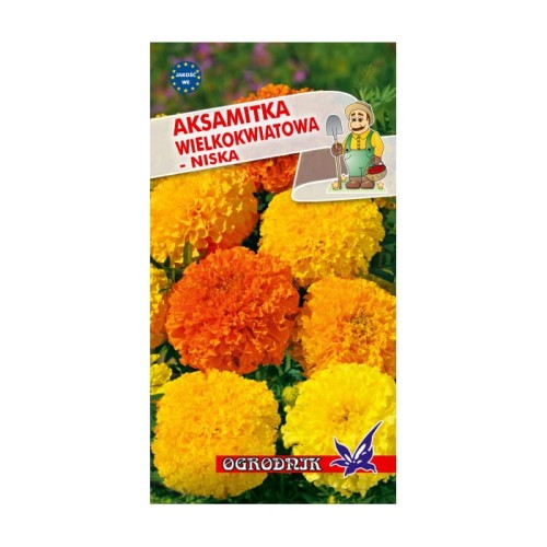 Aksamitka wielkokwiatowa mieszanka 0,5g  / O /