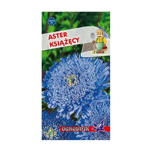 Aster książęcy niebieski 1g  / O /