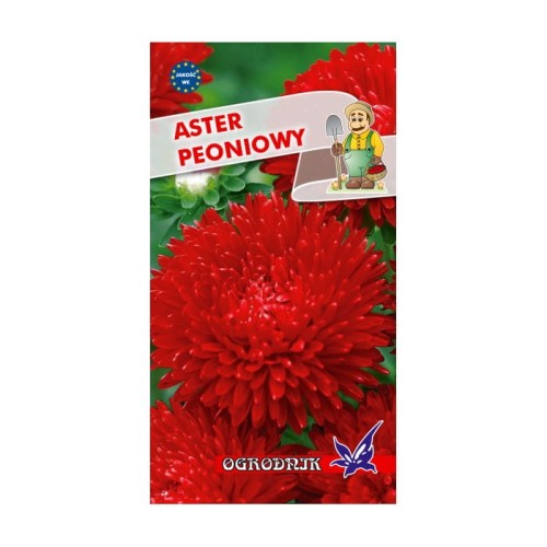 Aster peoniowy czerwony 1g  / O /
