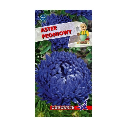 Aster peoniowy niebieski 1g  / O /