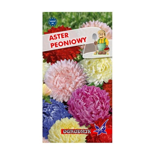 Aster peoniowy mieszanka 1g  / O /