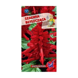 Szałwia błyszcząca czerwona  0,5g  / O /
