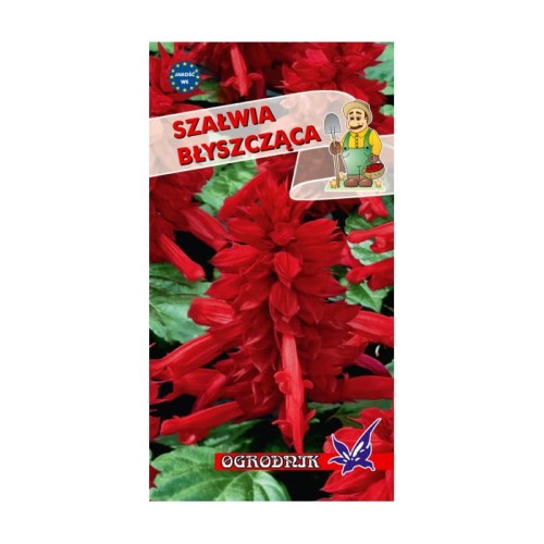 Szałwia błyszcząca czerwona  0,5g  / O /