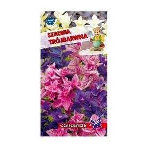 Szałwia trójbarwna 0,5g  / O /